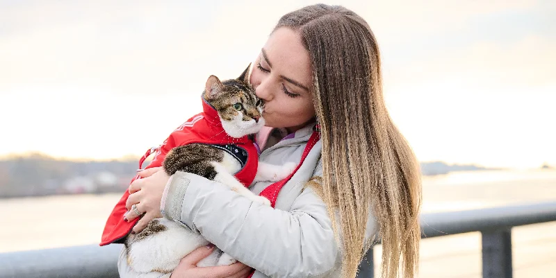 RC PETS Drift Kitty Coat, Goji Berry